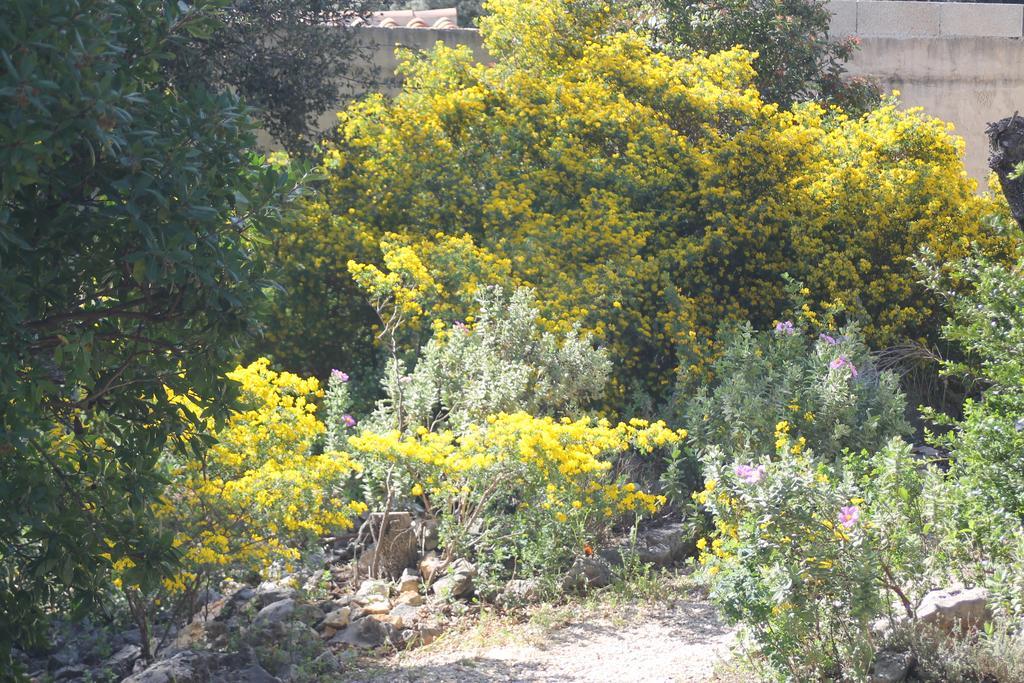 A L'Est D'Uzes Villa Saint-Siffret Eksteriør bilde