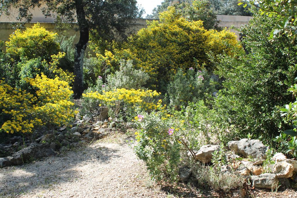 A L'Est D'Uzes Villa Saint-Siffret Eksteriør bilde